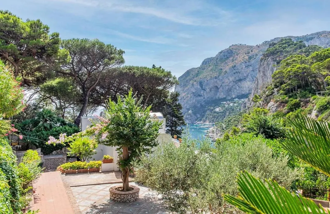 Room In Villa - Beautiful Villa In Capri With 5 Bedrooms-1