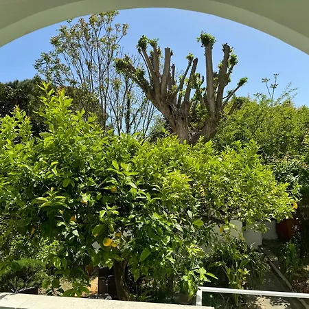 Villa Striano Boutique-3